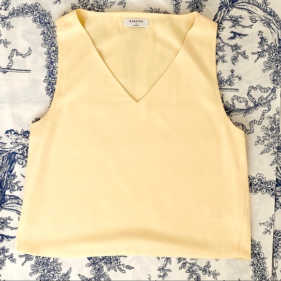 Aritzia Tops - Babaton Murphy Blouse